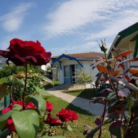 Villa Veneta, hotel a Sinemorets