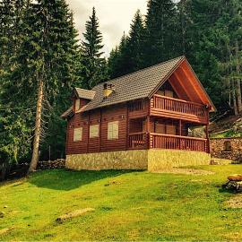 Triangle Woodhouse, hotel Plavban