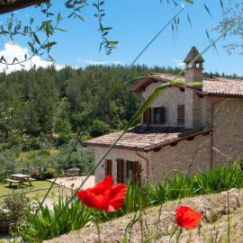 Agriturismo Molino Verde, hotel en Montecchio