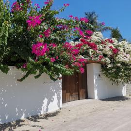 Holiday Cottage Thoddoo, Maldives, ξενοδοχείο σε Thoddoo