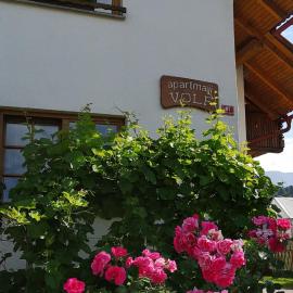 Apartmaji Volf, hotel in Zgornje Gorje