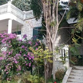 BG Villa Apartment XL