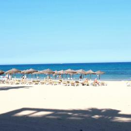 Avenu Belgica Apartment, hotel in La Mata