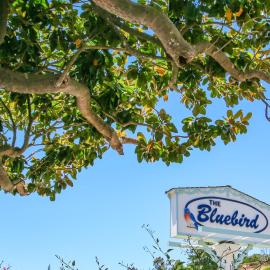 Bluebird Inn, hotel in Cambria