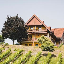 Hohler Appartement Gamlitz, hotelli kohteessa Gamlitz