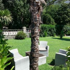 Apartments Vojin, hotel in Risan