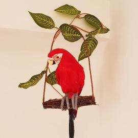 Parrot’s House