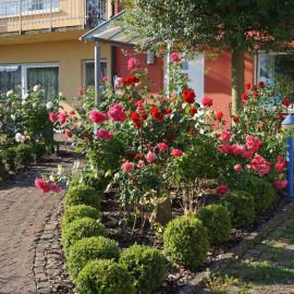 Ferienhaus Schloss-Garten，Kapellen-Drusweiler的飯店
