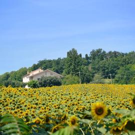 LE PIUME B&B
