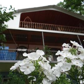 Dalko: Borcomi şehrinde bir otel