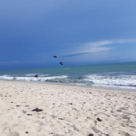 Nuevo Vallarta flamingos beach en bahia de banderas