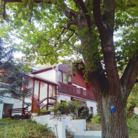 Pension Fischer, hotell i Plauen