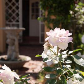 Roses and Pebbles B & B Guest House