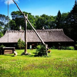 Kotka Farm，Saareküla的飯店