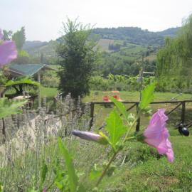 Fattoria Bertaccini, hotelli kohteessa Cesena