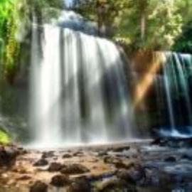 Russell Falls Holiday Cottages, hotel National Parkban