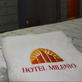 Hotel Milenio Nanacamilpa Tlaxcala, khách sạn ở Nanacamilpa
