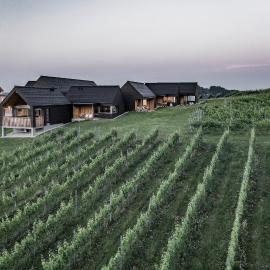 Winzerhäuser Skringer Wohnen im Weingarten, hotel a Leutschach