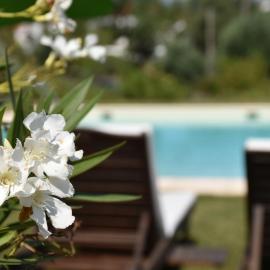 Casa nas Serras, hotel a Vila Nova de Poiares