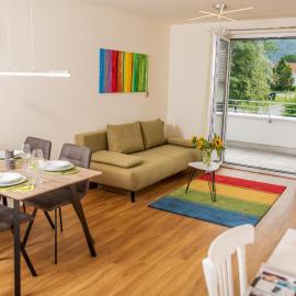 Cityapartment Dornbirn 50qm zentral in Bahnhofsnähe mit TG, hotel in Dornbirn