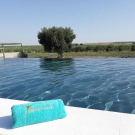 Terras - Agroturismo & Vinhos, Hotel in Beja