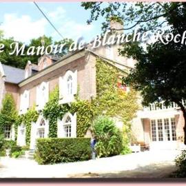 Chambres du Manoir de Blanche Roche, hotel in Saint-Jouan-des-Guérets
