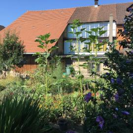 Grosszügiges Bauernhaus für Familie und Freunde, hotel en Hallau