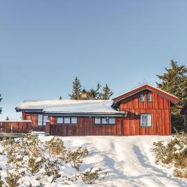 Three-Bedroom Holiday Home In Sjusjoen, Hotel in Sjusjøen