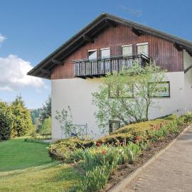 Amazing Apartment In Rickenbach