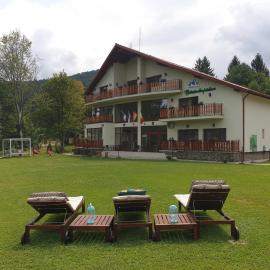 Casuta Din Padure, Hotel in Drăguş