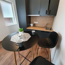 Oak house apartments, hôtel à Kaunas