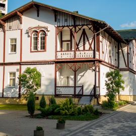 Villa Viktoriya Hotel, hotel in Truskavets