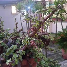 case vacanze, La casa di Angelo, con terrazzo, hotel a Oria