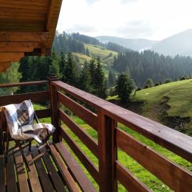 Пагорб Їжака / Hedgehog Hill