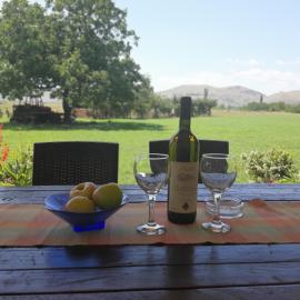 Pensions Airport - Rural household Stijepovic, hotel in Podgorica