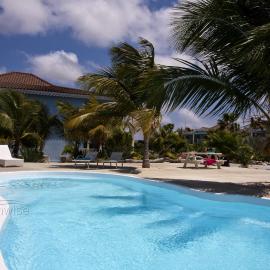 Ocean Blue Bonaire