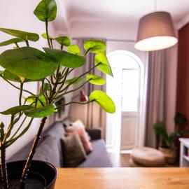 Faro Central - Holiday Apartments, Hotel in Faro