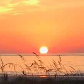 St. Augustine Ocean & Racquet Resort, hotel di St. Augustine