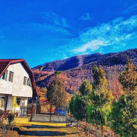 Panaite’s Home, hotel v destinácii Nehoiu