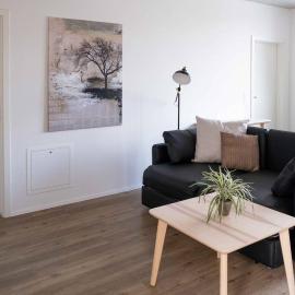 Atrium Apartments, hotel u gradu Šafhauzen
