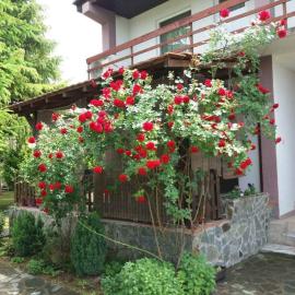 Riverside Villa Matka