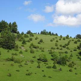 Gomadingen में, होटल Heid-Blick