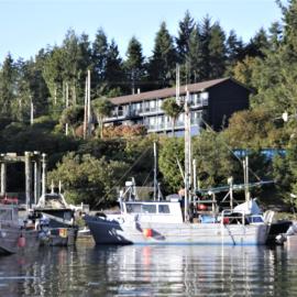 Tofino Motel Harbourview, viešbutis mieste Tofinas