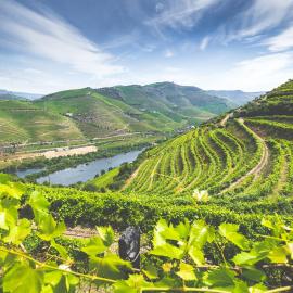 Quinta do Valdalágea, hotel a Peso da Régua