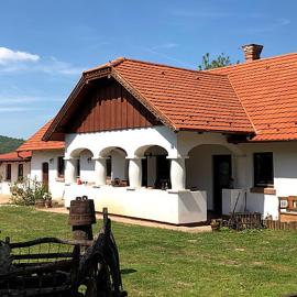 Greenhouse, hotel in Szólád