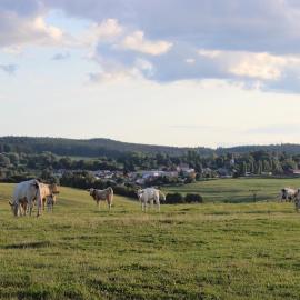 Čtyři pokoje, hotel a Tachov