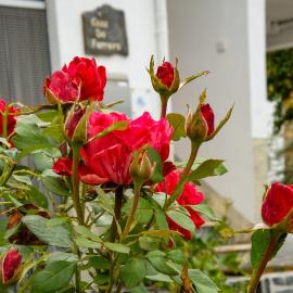 Casa do Ferreiro、ゴーイスのホテル