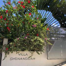Villa Shenandoah