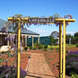 Lavendale Country Retreat, hotel in York