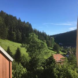 Zum Schwalbennest